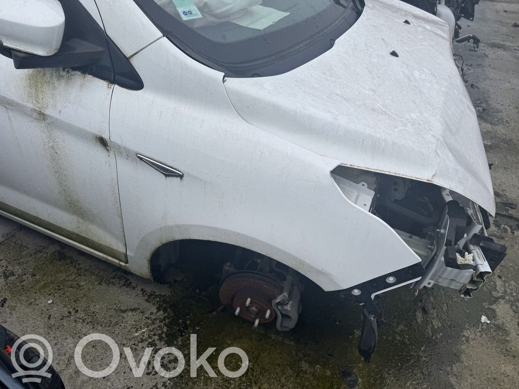 Ford Ka Priekinis amortizatorius su spyruokle 
