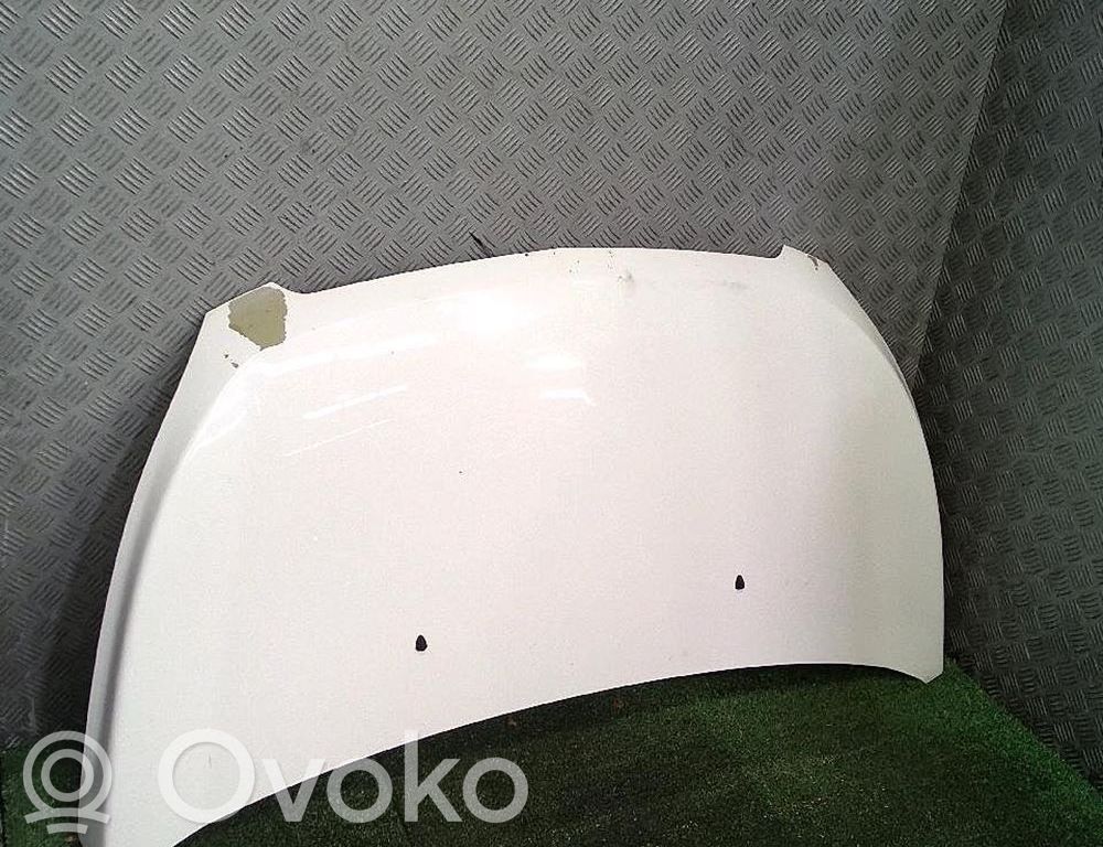 Konepelti   42746472