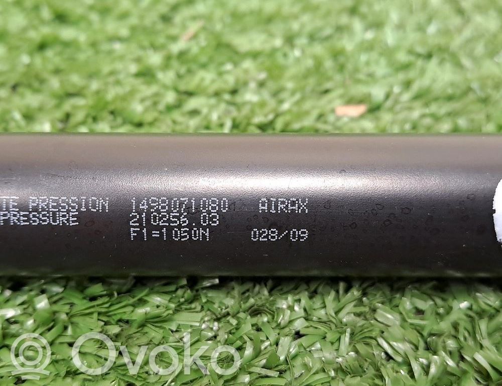 Citroen Jumpy Tailgate/trunk strut/damper 