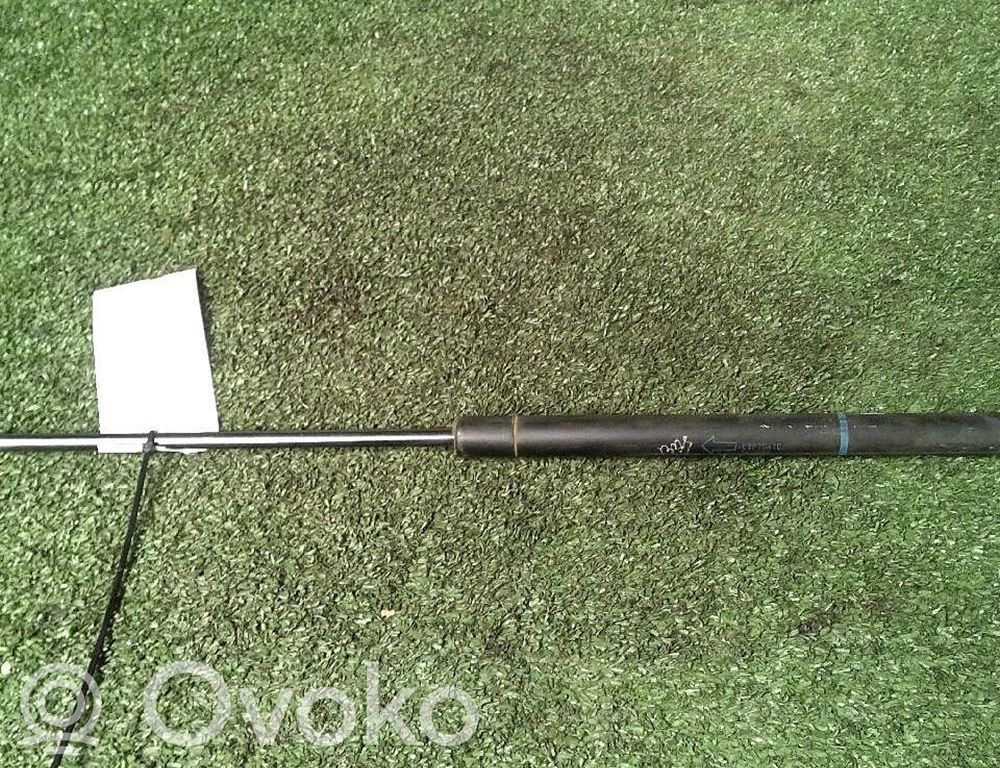 Tailgate/trunk strut/damper   1146649