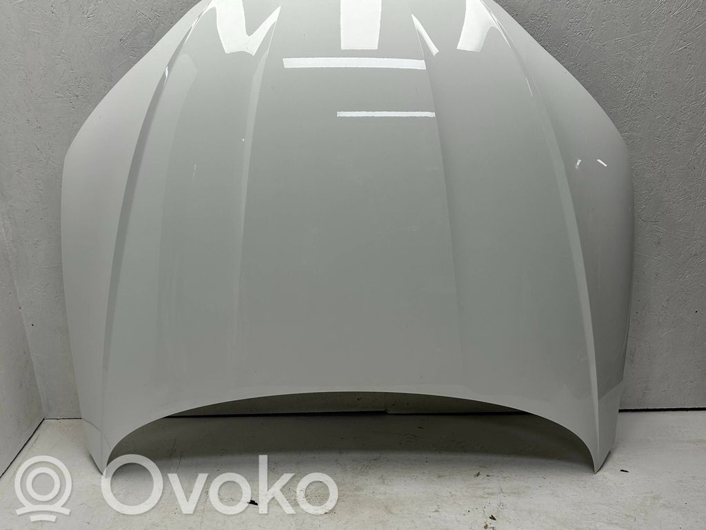 Dangtis variklio (kapotas)