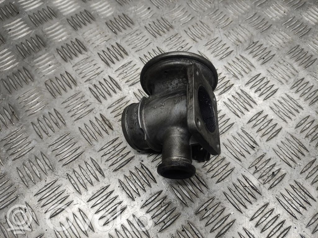 BMW 3 E46 EGR valve 