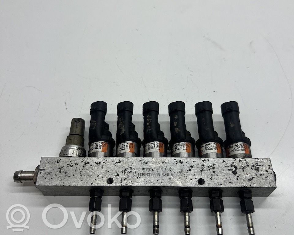 Inyección de combustible (otros)   67R010185,110R000005
