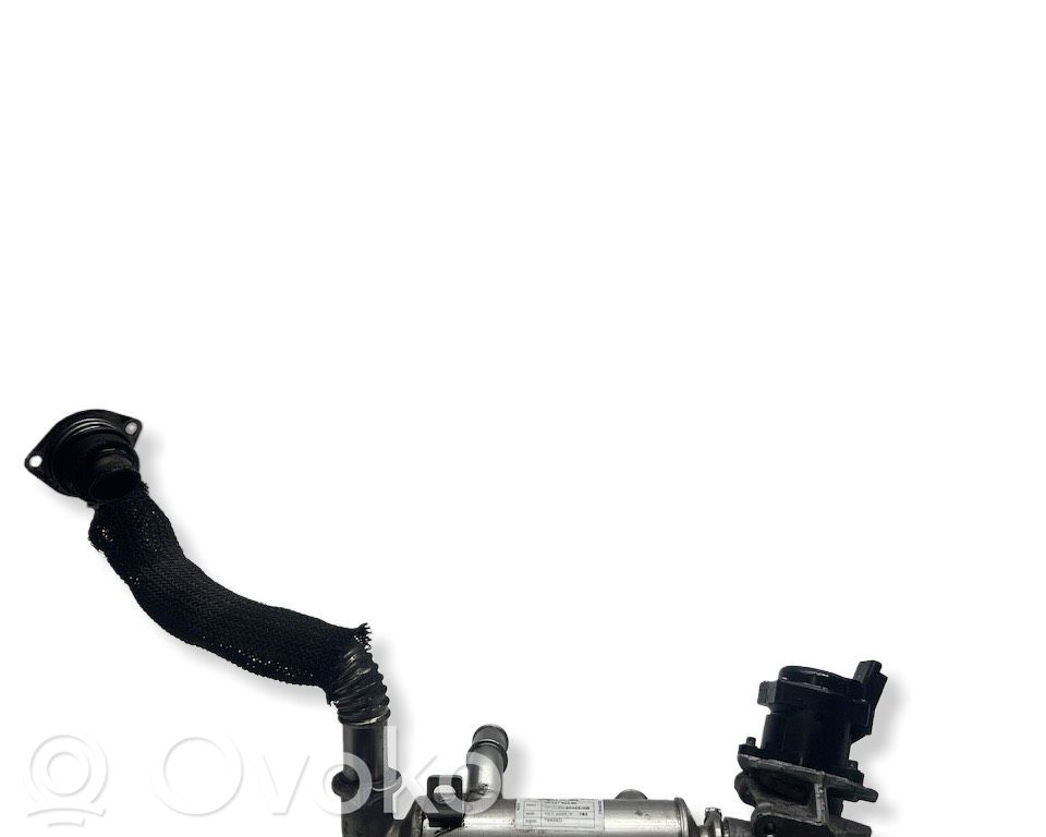 Citroen Berlingo EGR valve cooler 