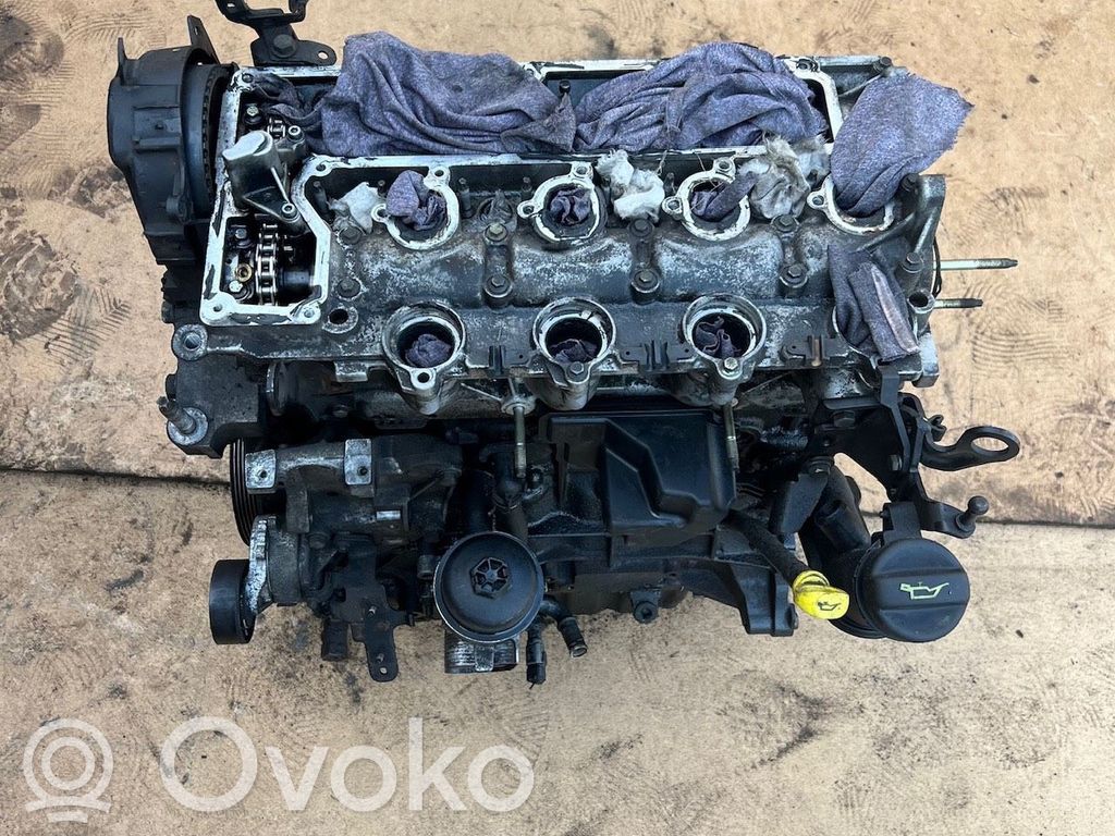 Variklis   D4204T,6901396,4005991