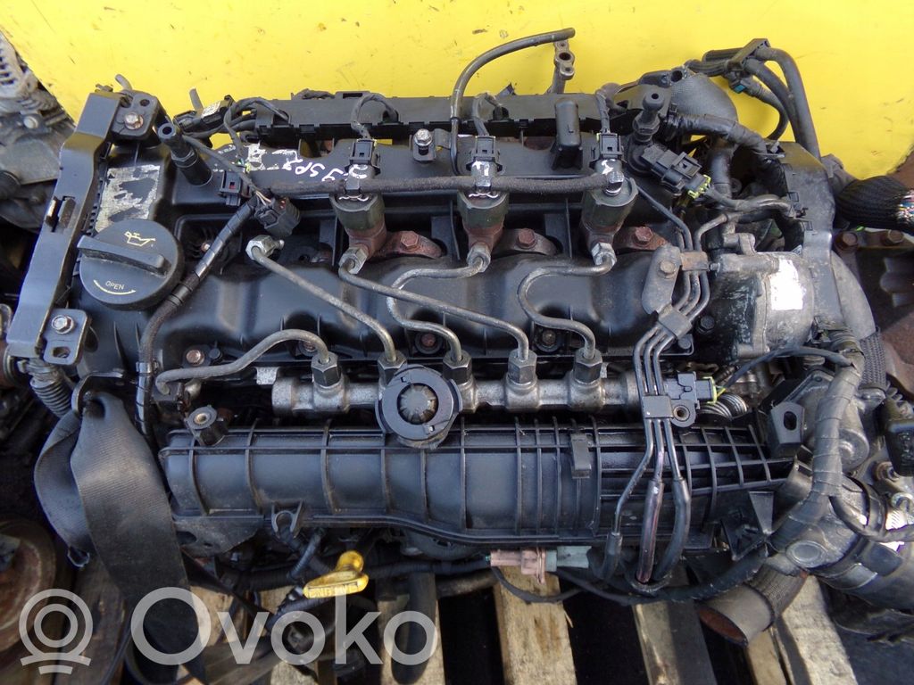 Engine swap   D4FD,29SP2