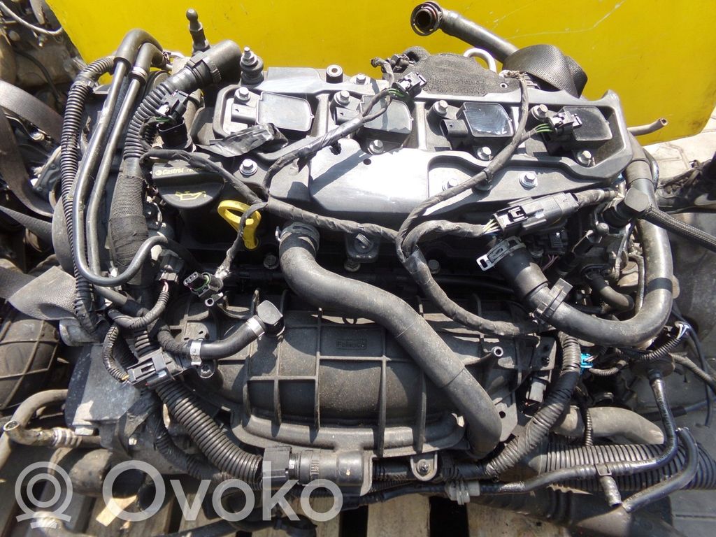 Ford Fiesta Motor 