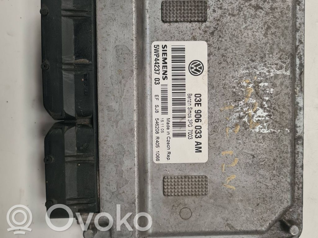 Seat Ibiza III (6L) Engine control unit/module 