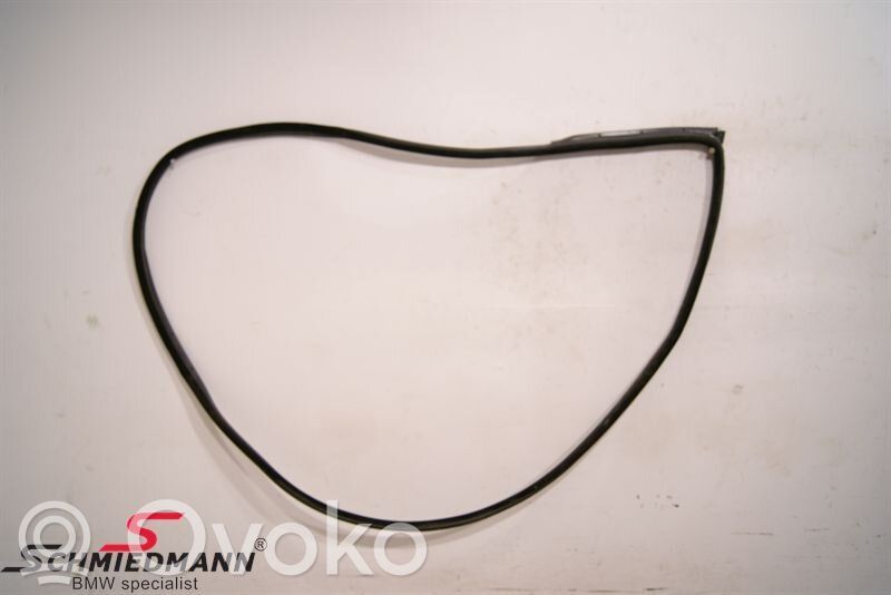 BMW 3 E90 E91 Front door rubber seal 