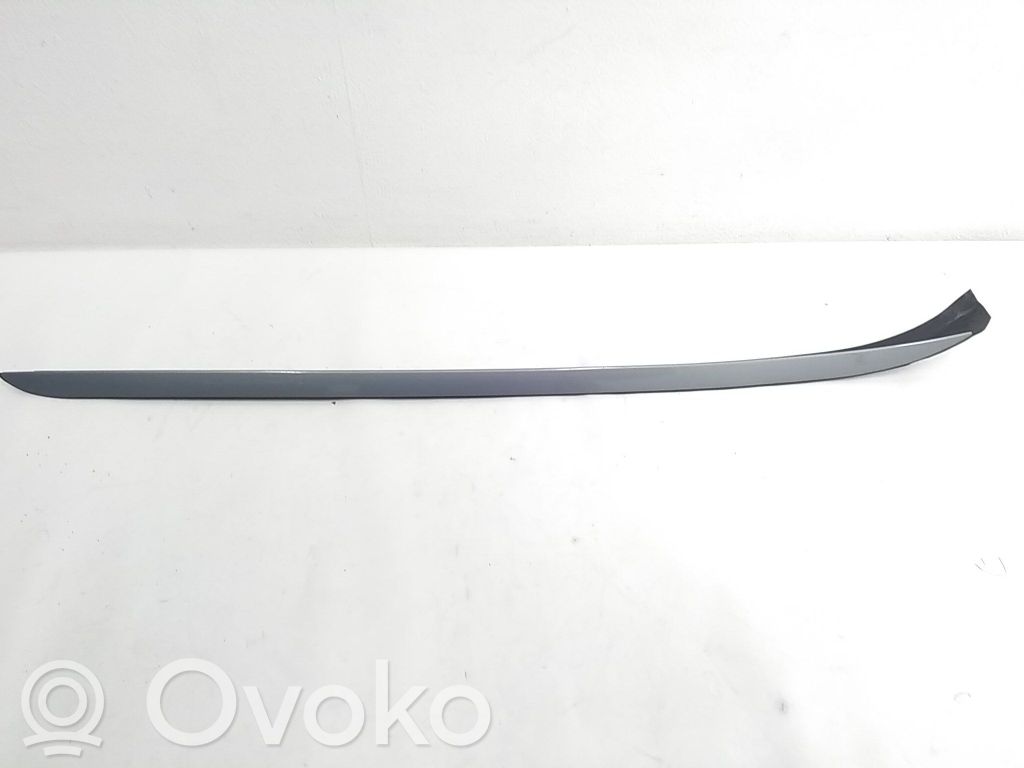 Windshield trim   51137184002