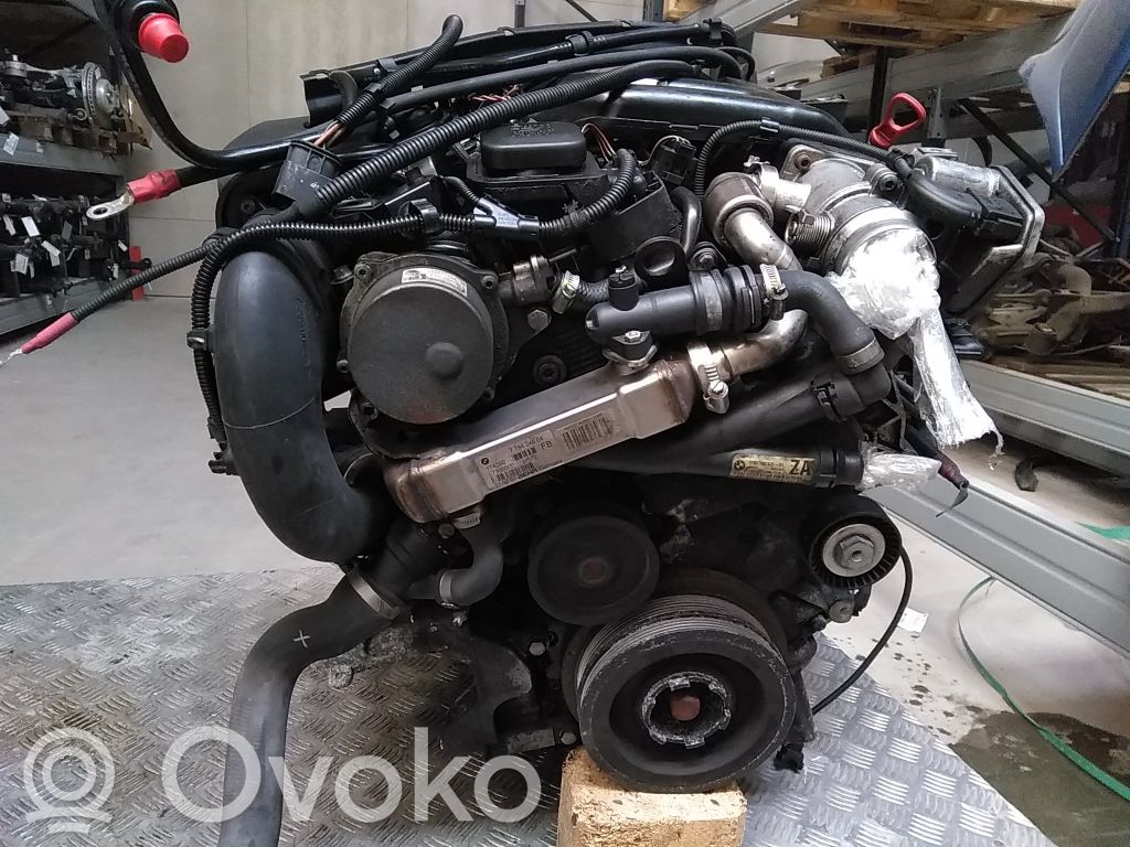 Variklis   11000441266,11000441271