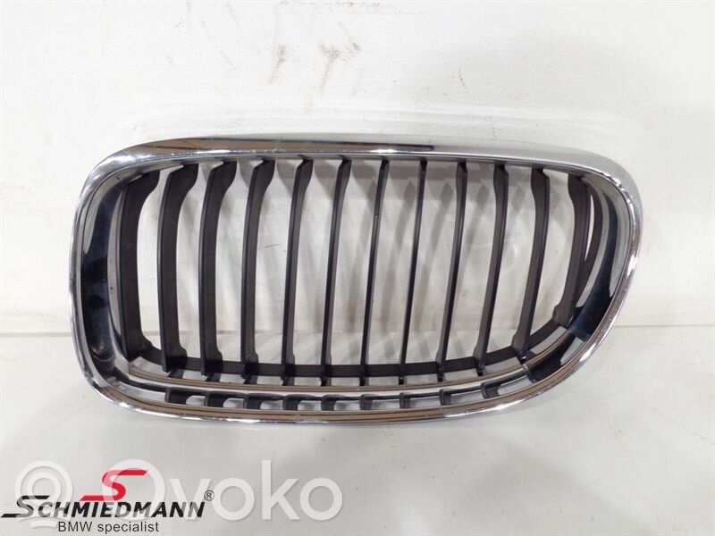 Kühlergrill   51137201967