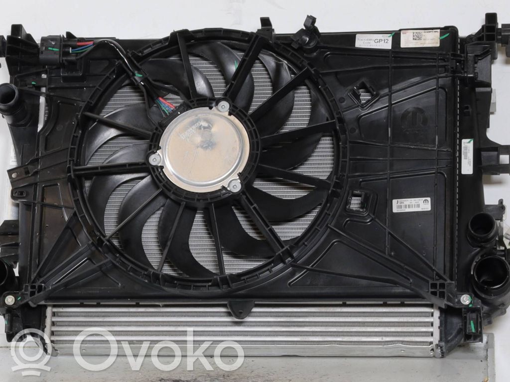 Alfa Romeo Tonale Radiator lichid răcire 
