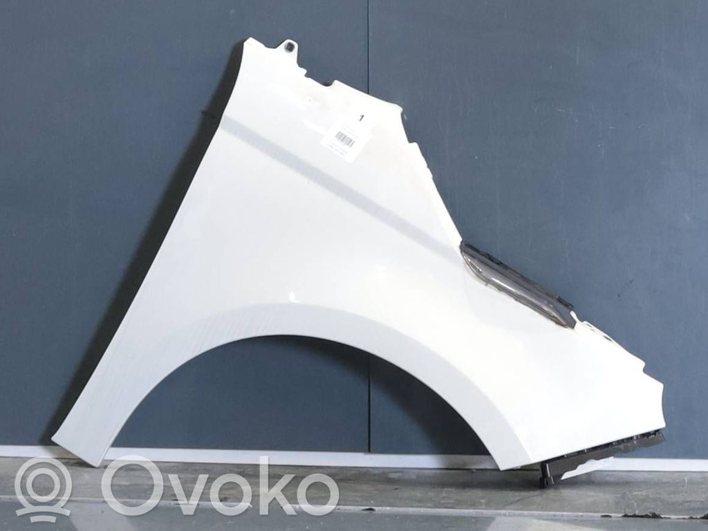 Fiat 500E Guardabarro 