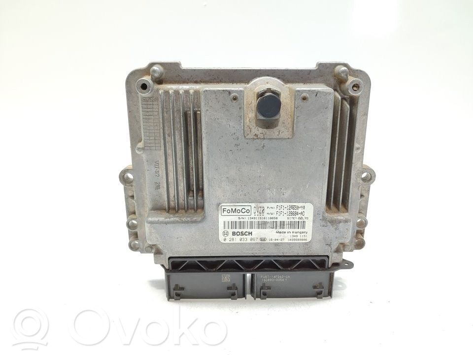 Ford Focus Engine control unit/module 