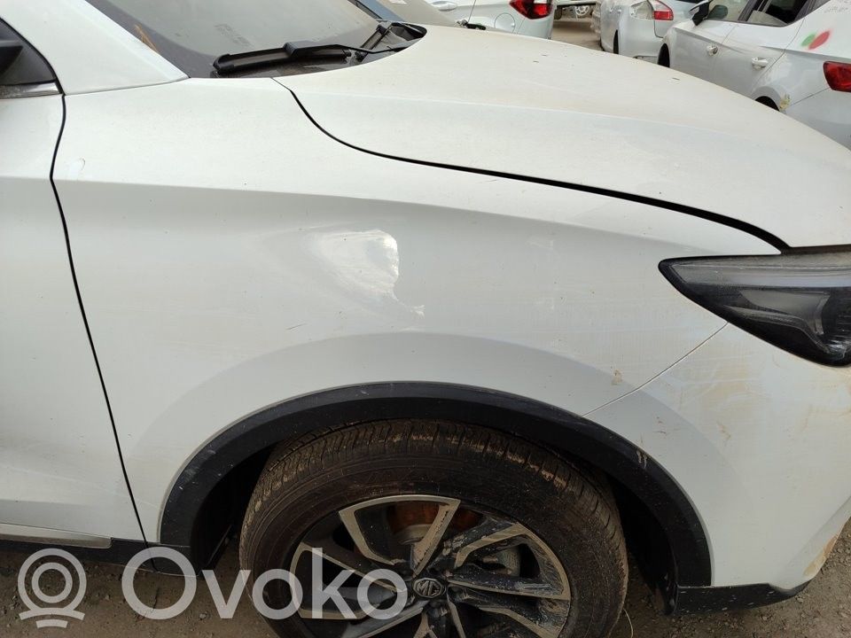 MG ZS Fender 