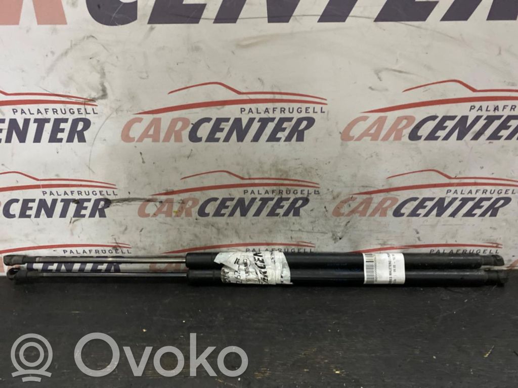 Tailgate/trunk strut/damper   1568TV