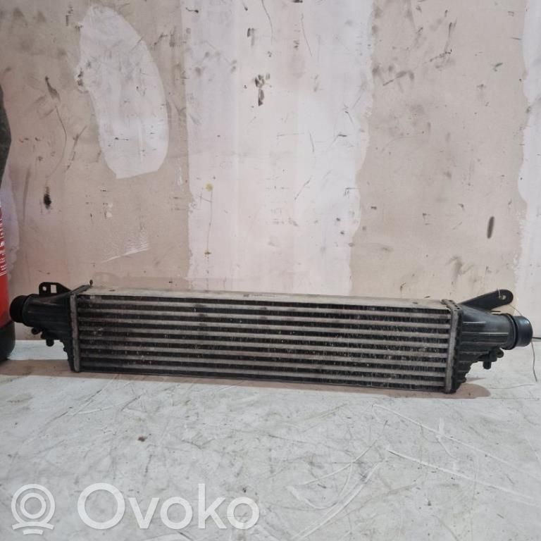 Intercooler radiator   8E3951000