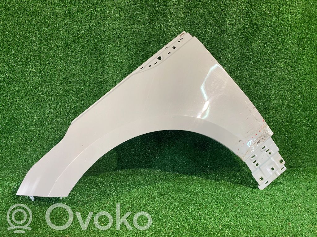 Guardabarro   LR091699