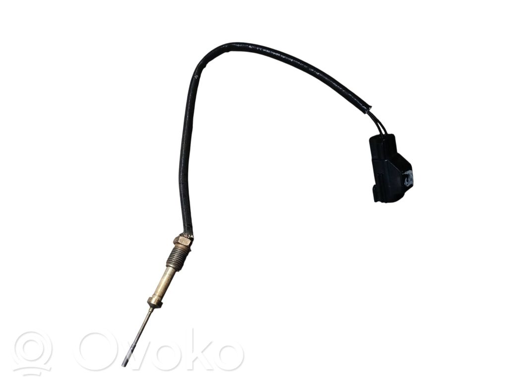Ford Focus Exhaust gas temperature sensor 