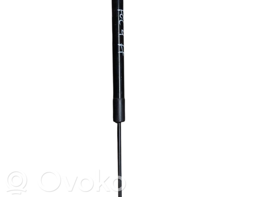 Ford Focus Tailgate/trunk strut/damper 