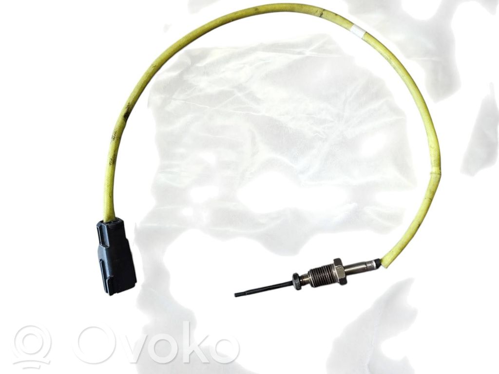 Ford Focus Abgastemperatursensor 
