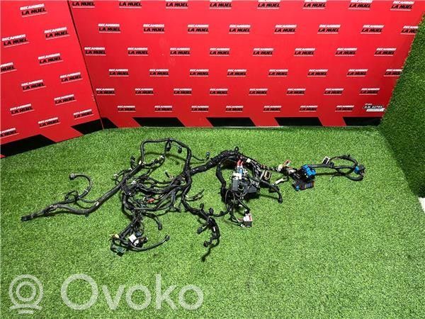 Renault Express Other wiring loom 