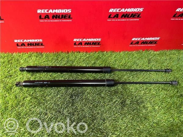 Tailgate/trunk strut/damper   9680677780