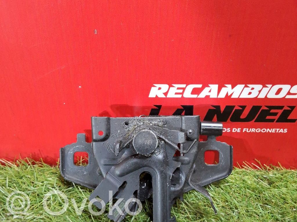Tie down hook / loop   656013455R
