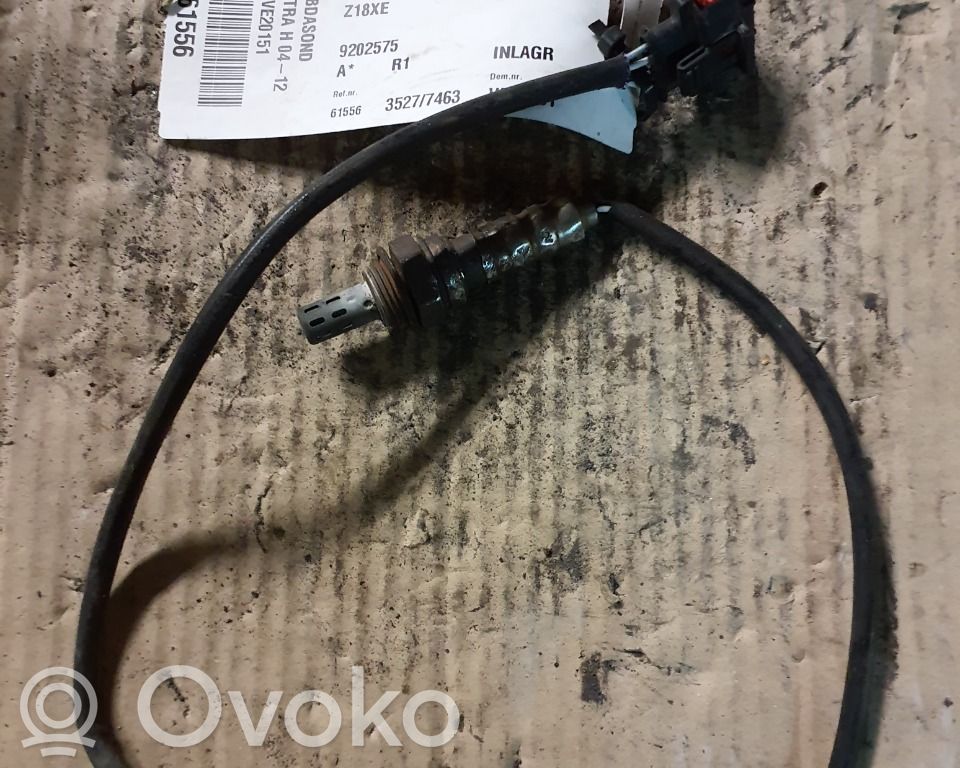 Зонд «Lambda»   09202575,9202575