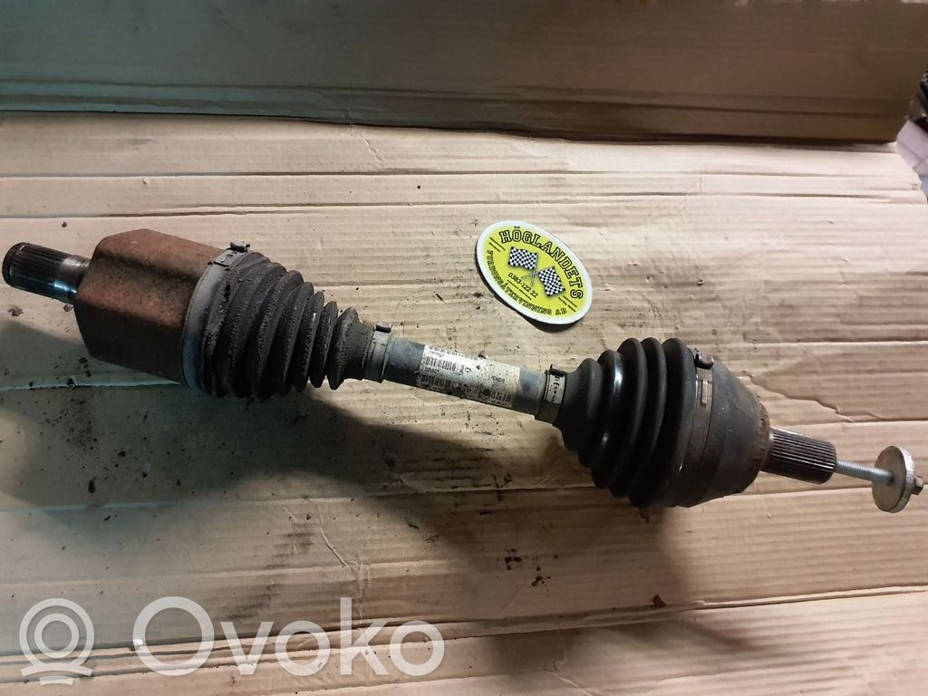 Priekšējā pusass   36011288