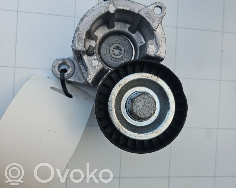 Peugeot 307 Paskirstymo diržo įtempėjas 