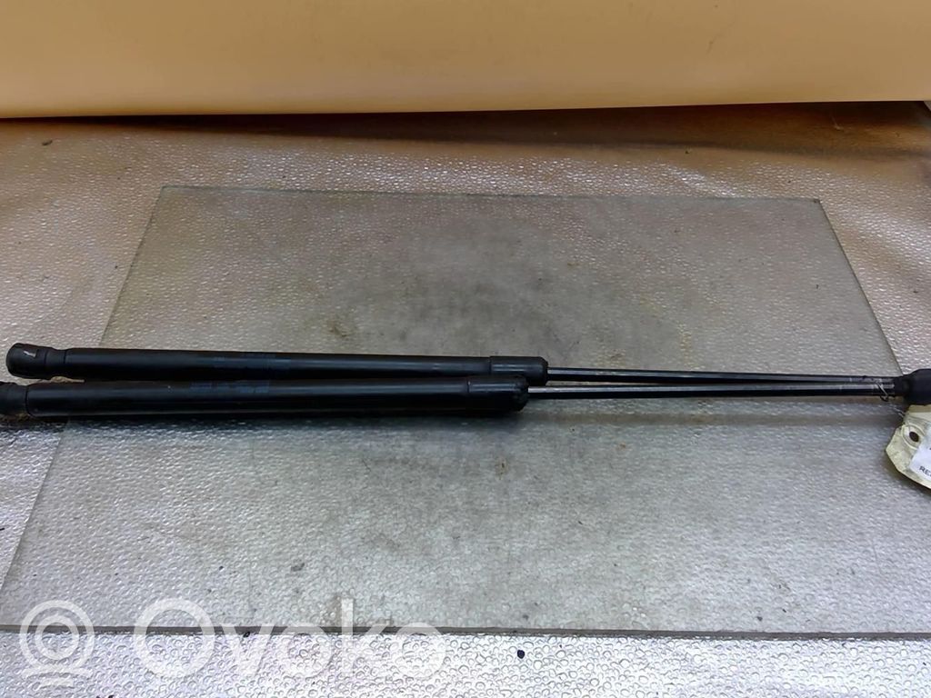 Tailgate/trunk strut/damper   8Z0827552C