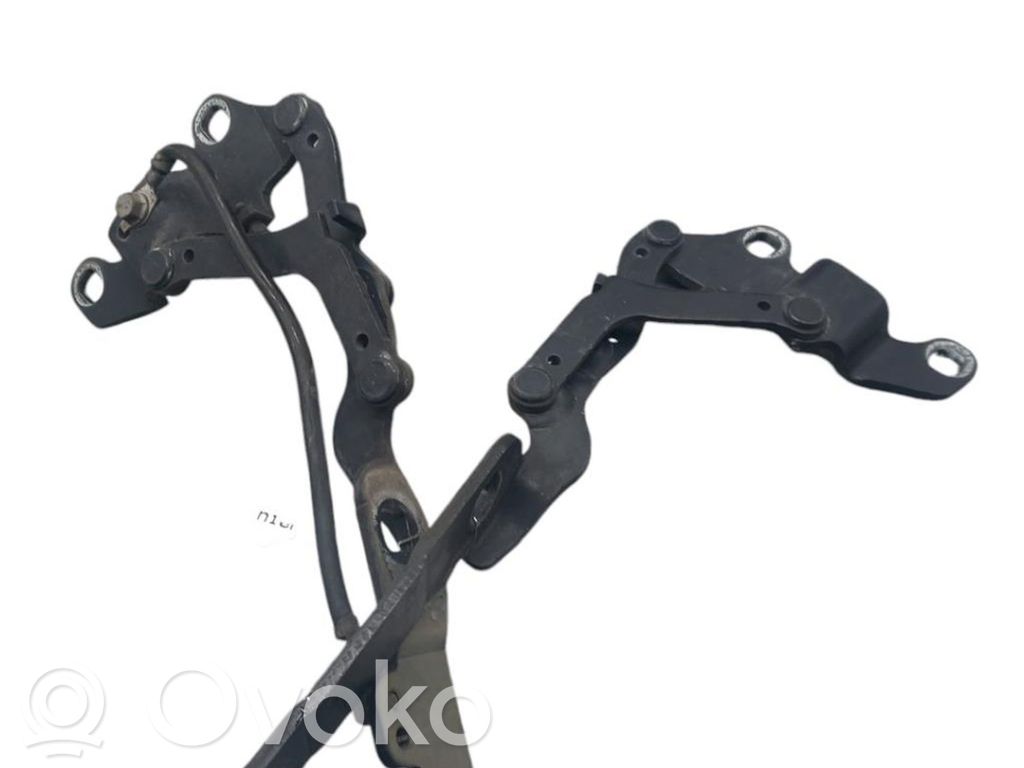 Vyris (-iai) variklio dangčio   41617210677