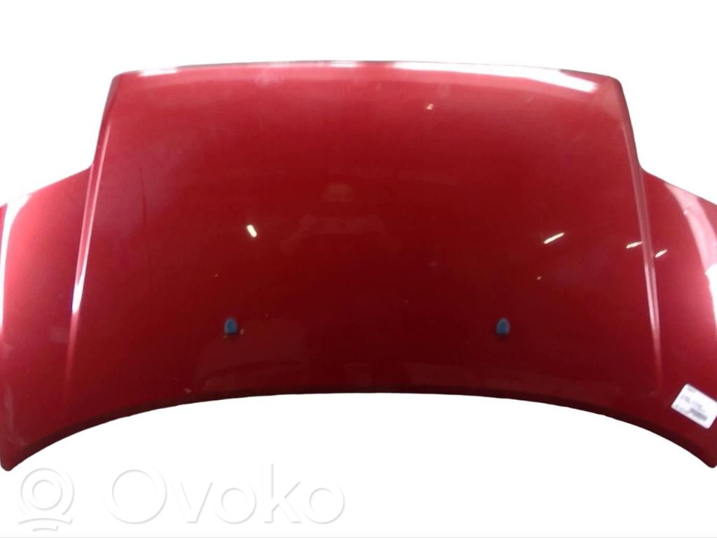 Dzinēja pārsegs (vāks)   00007901K2