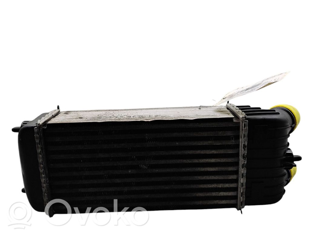 Interkūlerio radiatorius   00000384N1