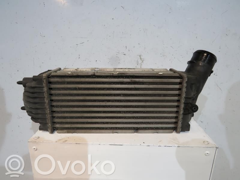 Radiador intercooler   00000384G4