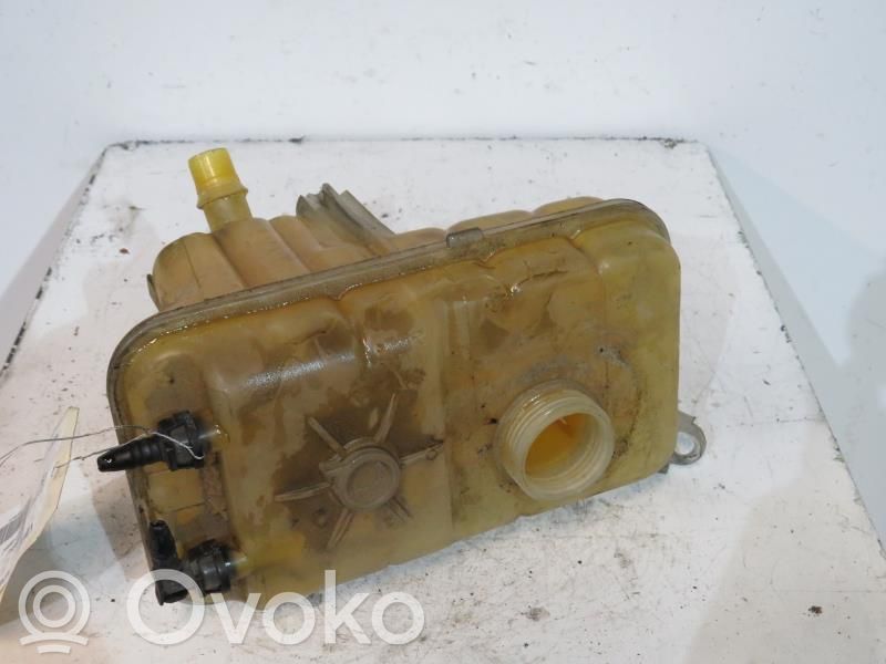 Citroen C5 Korek zbiornika wyrównawczego chłodziwa 