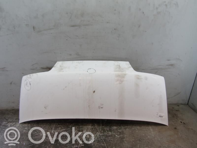 Motorhaube   7901C0