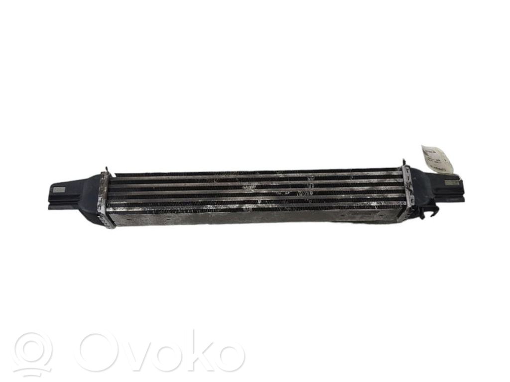 Intercooler radiator   00000384L7