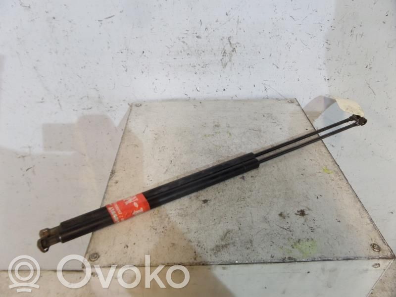 Tailgate/trunk strut/damper   00008731E4