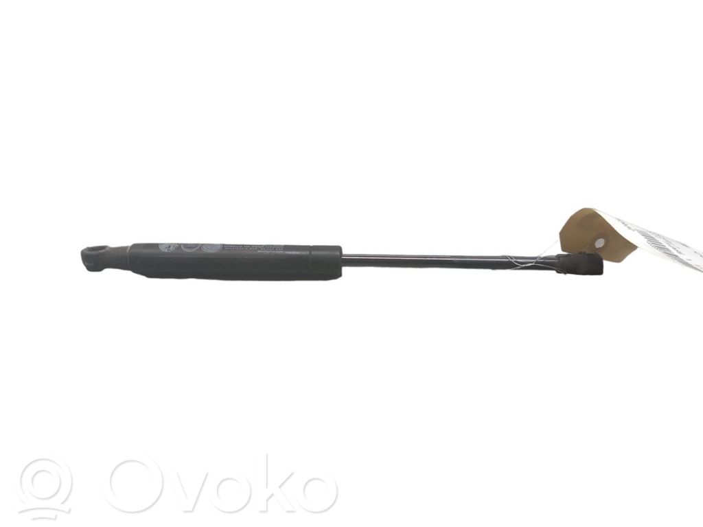 Fiat 500 Tailgate/trunk strut/damper 