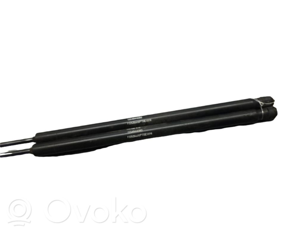 Fiat Qubo Tailgate/trunk strut/damper 