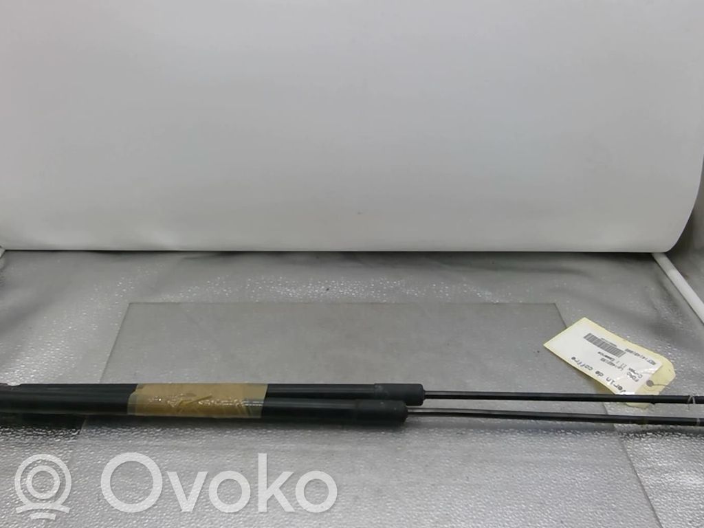 Ford C-MAX II Tailgate/trunk strut/damper 