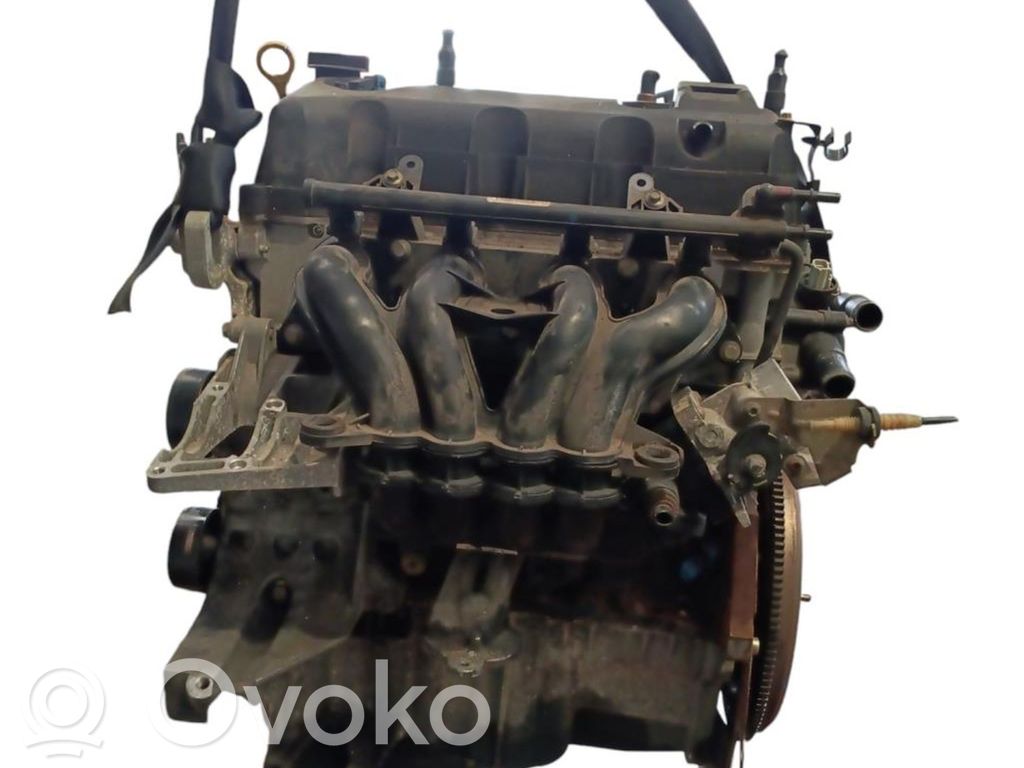 Ford Fiesta Variklis 