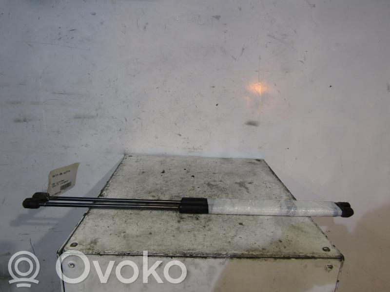 Ford Focus Amortizatorius galinio dangčio 