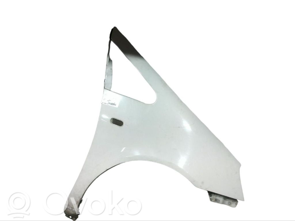 Fender   1302987