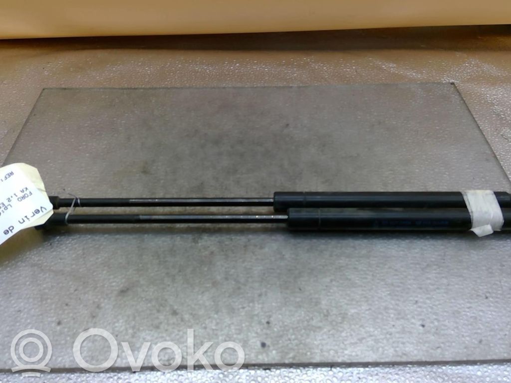 Tailgate/trunk strut/damper   1542413