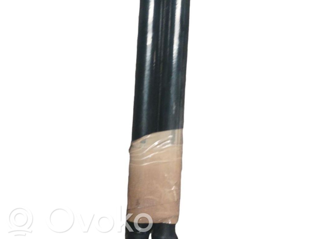 Tailgate/trunk strut/damper   817701W200