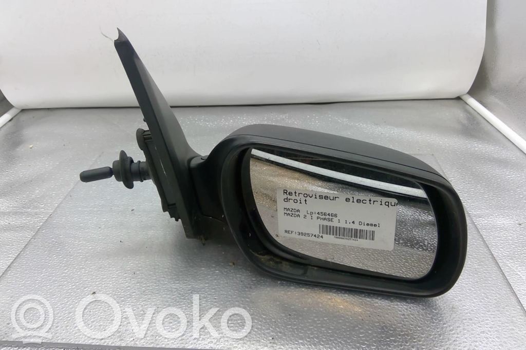 Manual wing mirror   DD106912ZC